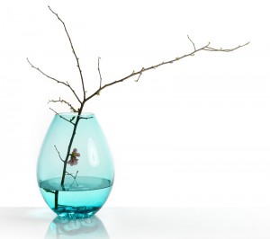 Bubulle Studio Marianne Guedin