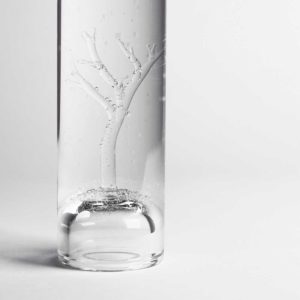 Carafe tree Studio Marianne Guedin