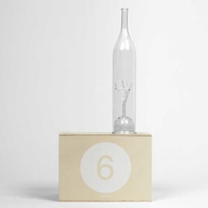 Carafe tree Studio Marianne Guedin