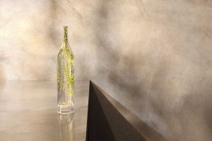 Carafe tree Studio Marianne Guedin