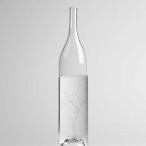 Carafe tree Studio Marianne Guedin