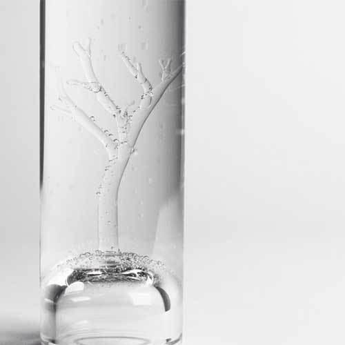 Carafe tree Studio Marianne Guedin