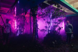 Scénographie végétale Adidas Studio Marianne guedin