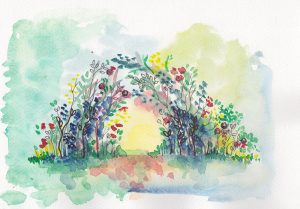 Scénographie végétale Weleda Marianne Guedin