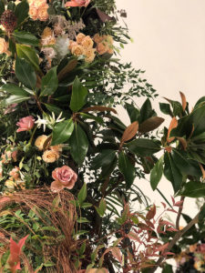Scénographie végétale Dolce & Gabbana Marianne Guedin