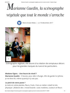 Presse Marianne Guedin Figaro