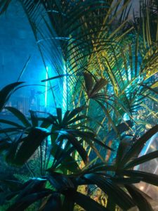 Scénographie végétale Reveal Project Musée de la Chasse Marianne Guedin