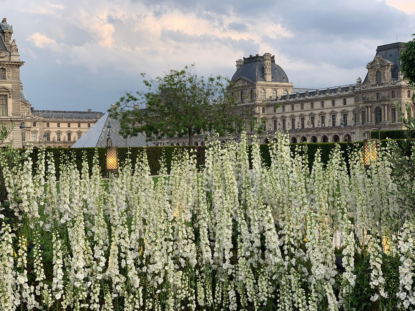 Mariage au musée du Louvre Marianne Guedin