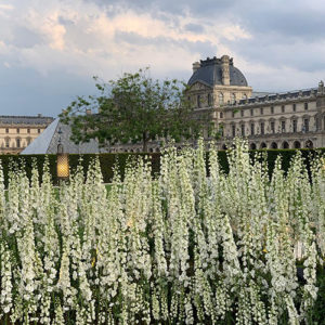 Mariage au musée du Louvre small