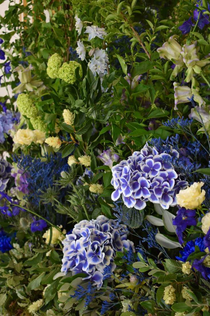 Fleurs bleues de jardin par Marianne Guedin