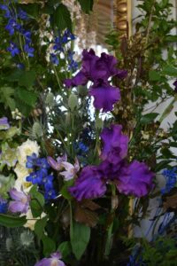 Iris Dingue de Guedin