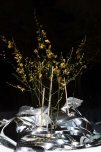 Scénographie miroirs et orchidées